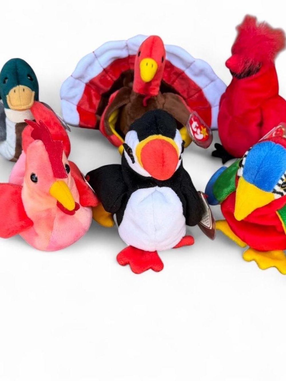 Ty Plush Bird Toy Collection all NWT